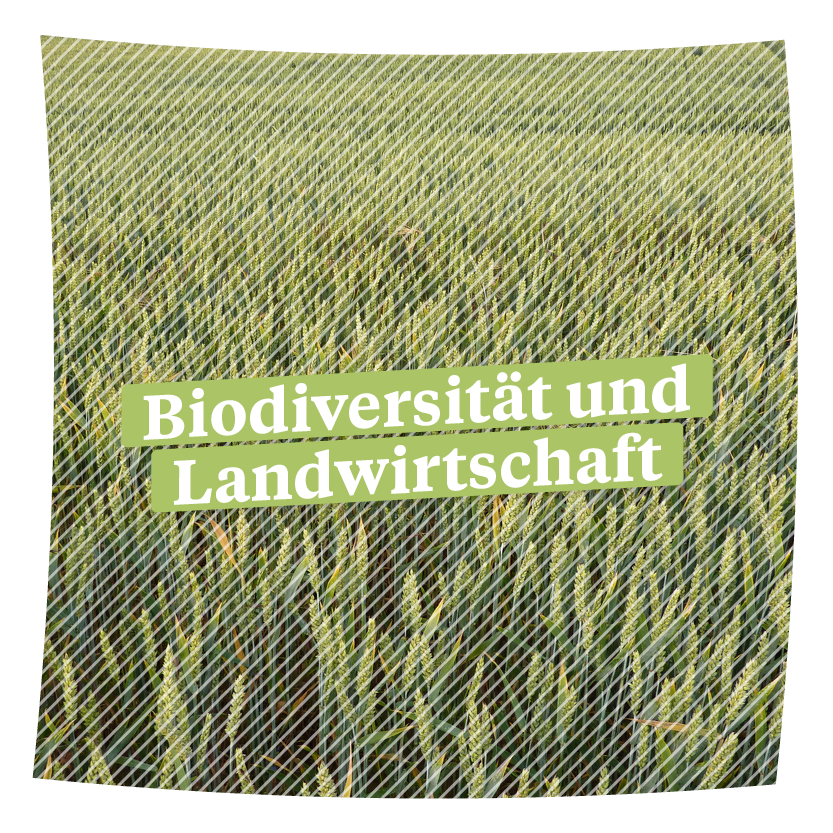 Biodiversität und Landwirtschaft