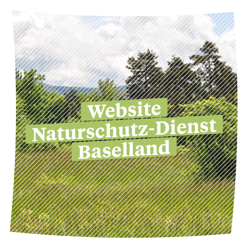 Website Naturschutzdienst BL